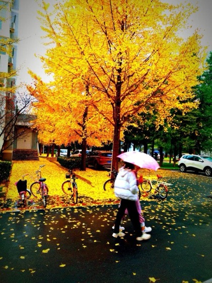 Beijing photo
