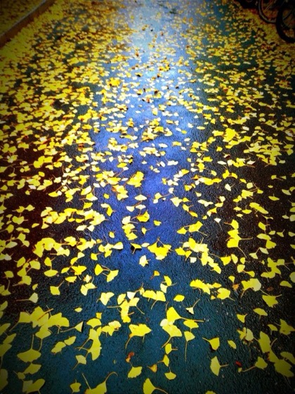 Beijing photo