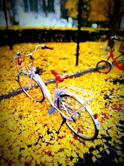 Beijing photo
