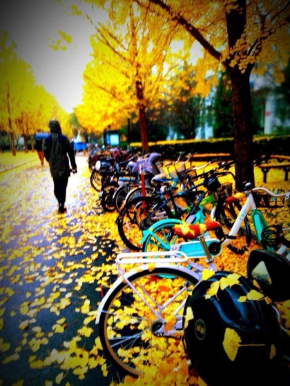 Beijing photo