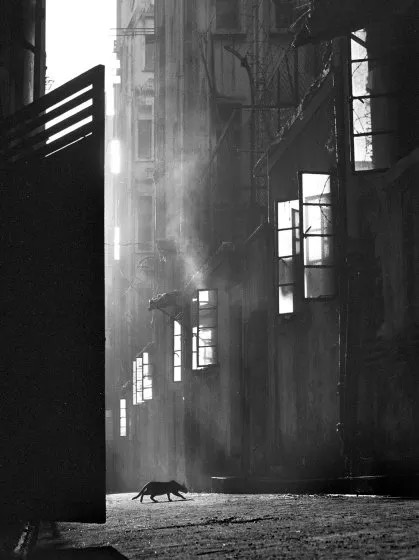 Fan Ho photo