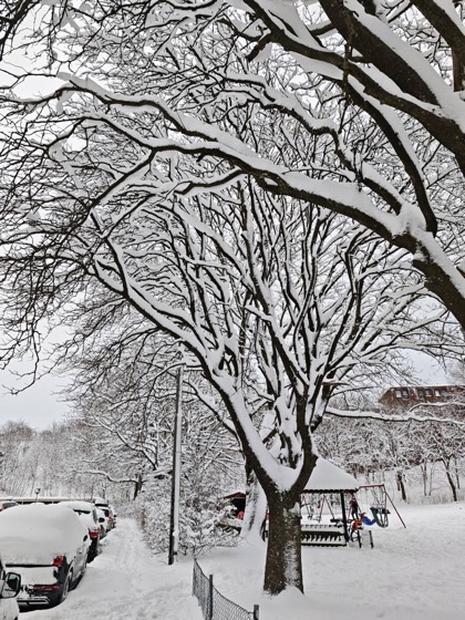 Gothenburg photo