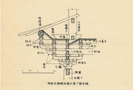 Sicheng Liang Collection photo