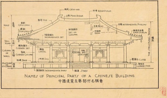 Sicheng Liang Collection photo