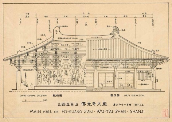 Sicheng Liang Collection photo