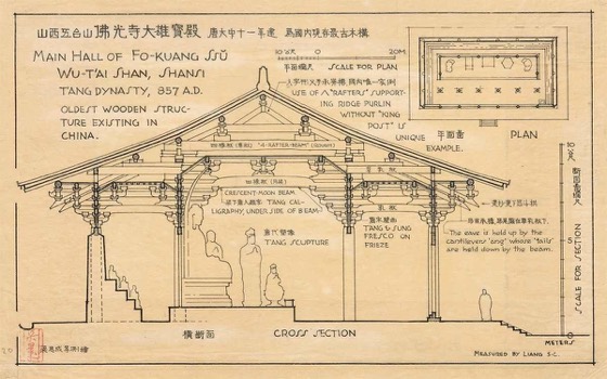 Sicheng Liang Collection photo