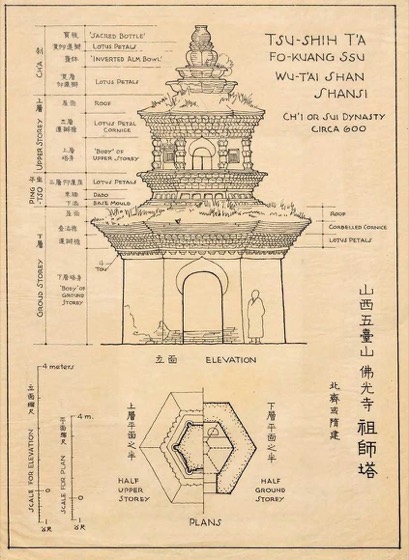 Sicheng Liang Collection photo