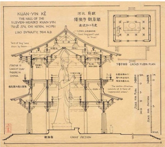 Sicheng Liang Collection photo