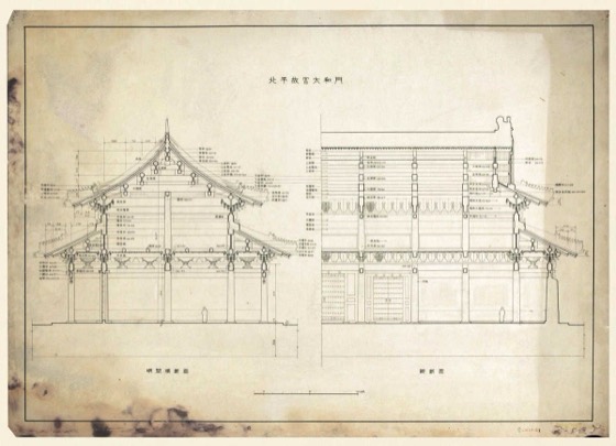 Sicheng Liang Collection photo