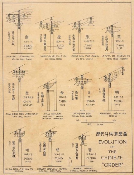 Sicheng Liang Collection photo
