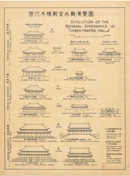 Sicheng Liang Collection photo