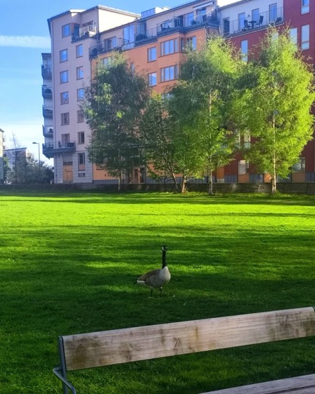 Stockholm photo