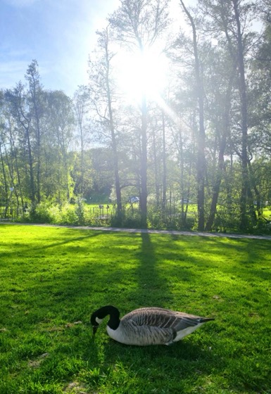 Stockholm photo