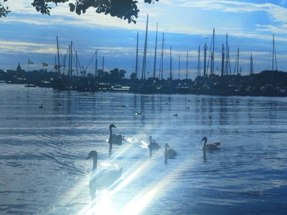 Stockholm photo