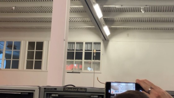 Gothenburg video still
